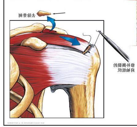 图片4.jpg